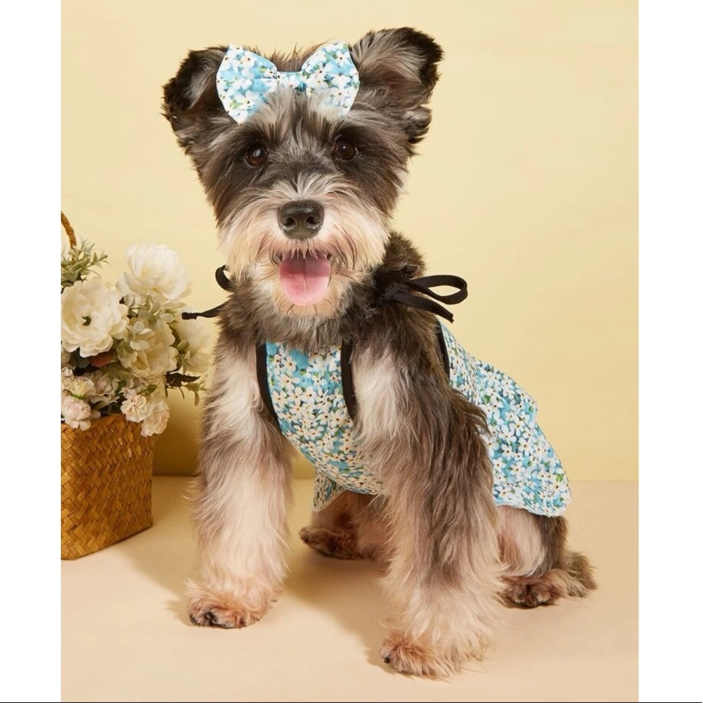 Flower Decor Print Pet Dress w/ Bow 🐈